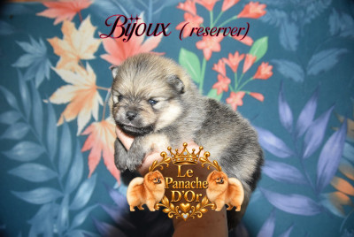 Bijoux